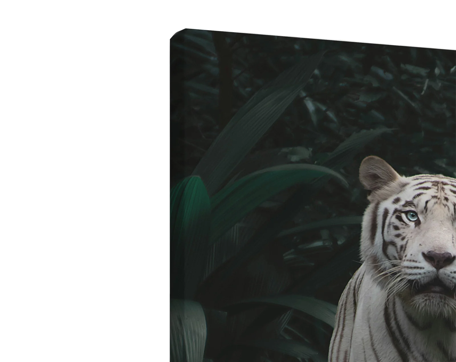 Tablou canvas vertical White Tiger