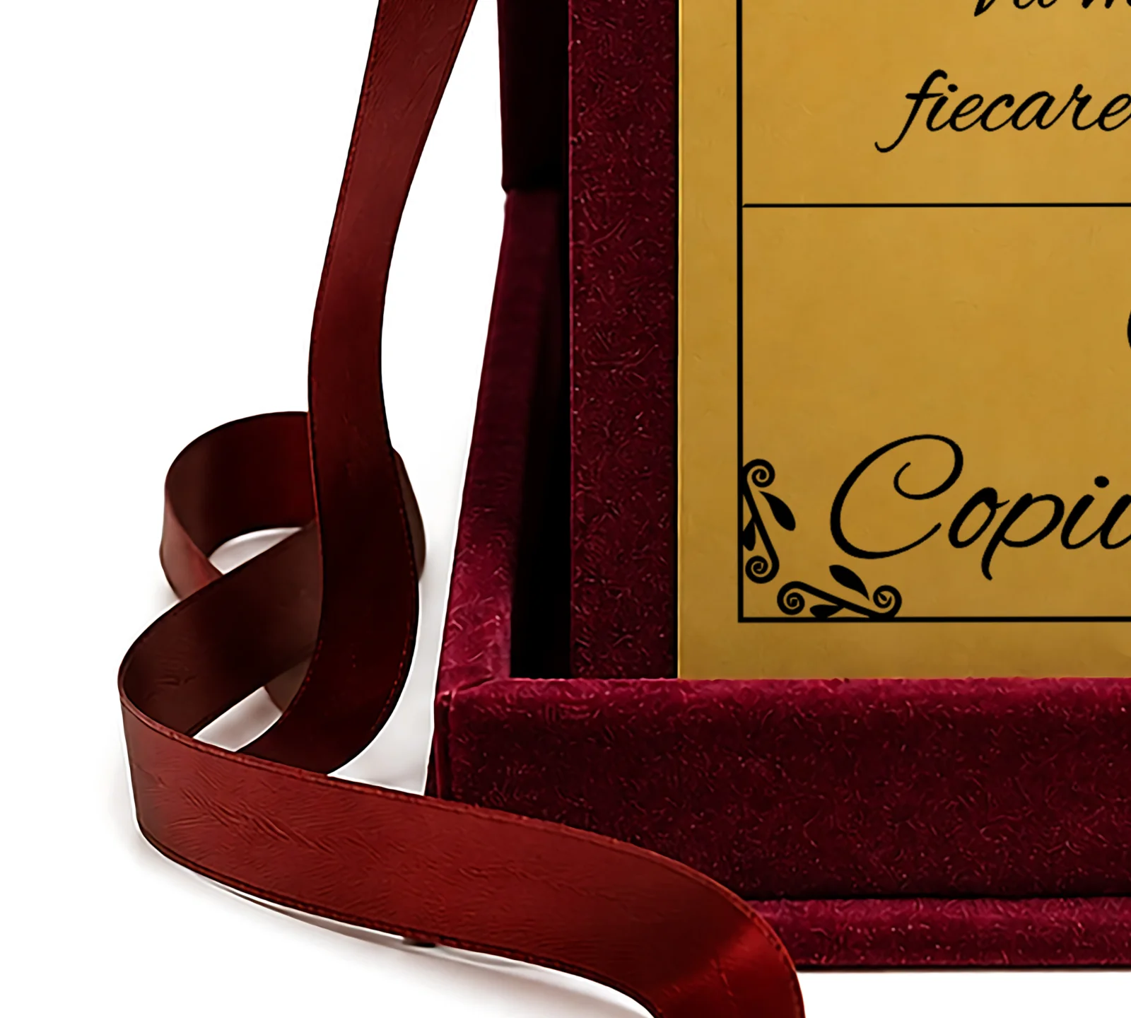 Trofeu Personalizat Bun Venit în Lumea Copilăriei