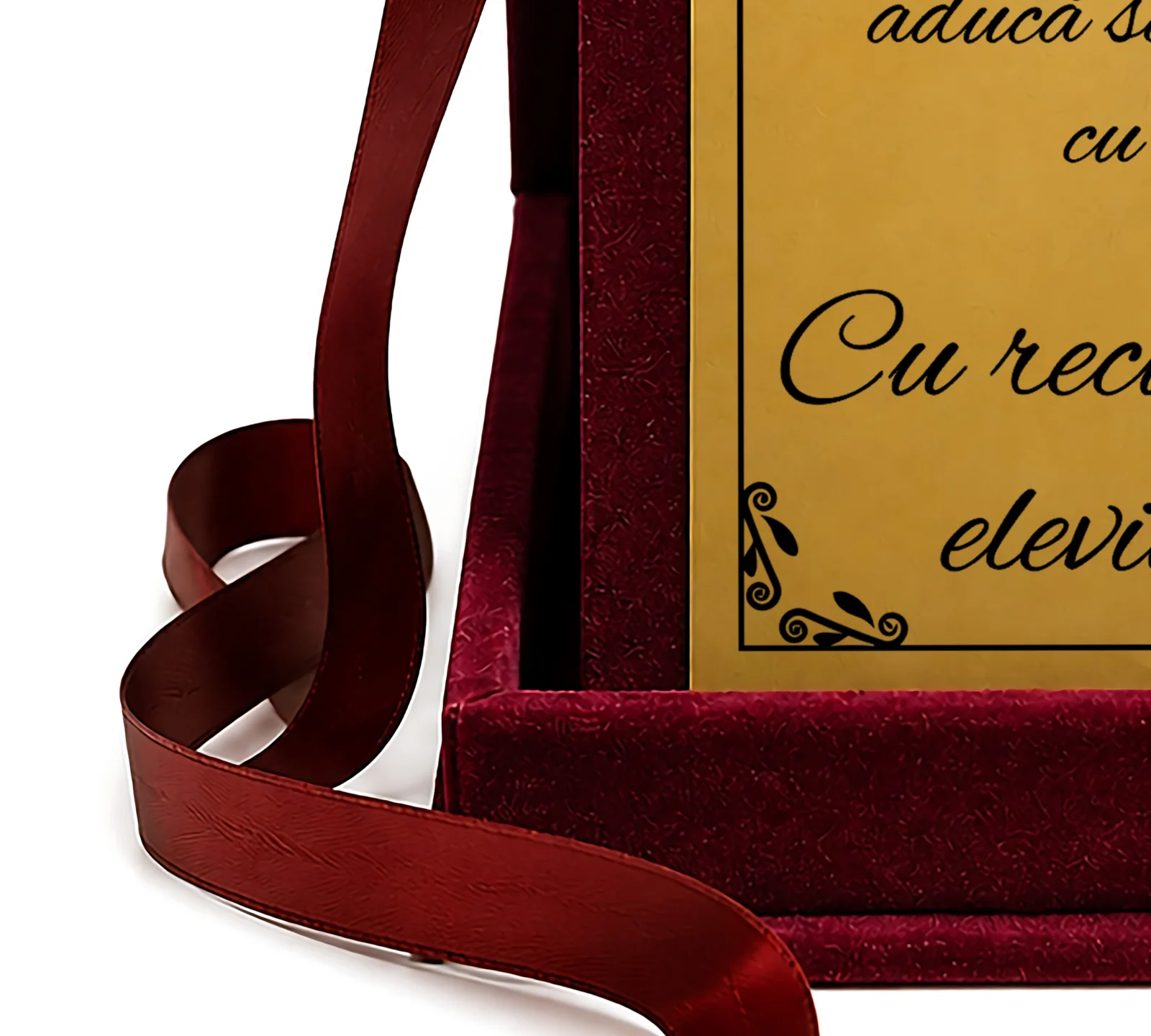 Trofeu Bun Venit in Noul An Scolar pentru Educatoare