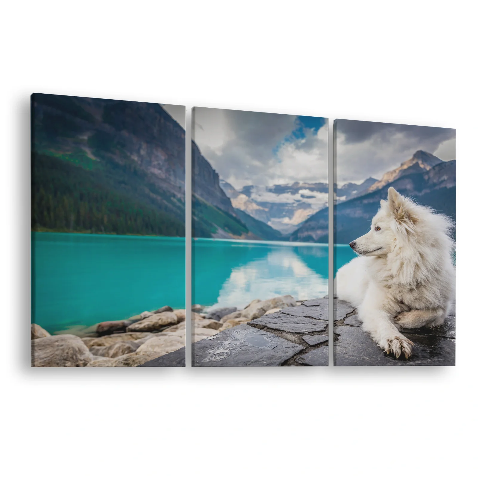 Tablou canvas 3 piese Câine Alb
