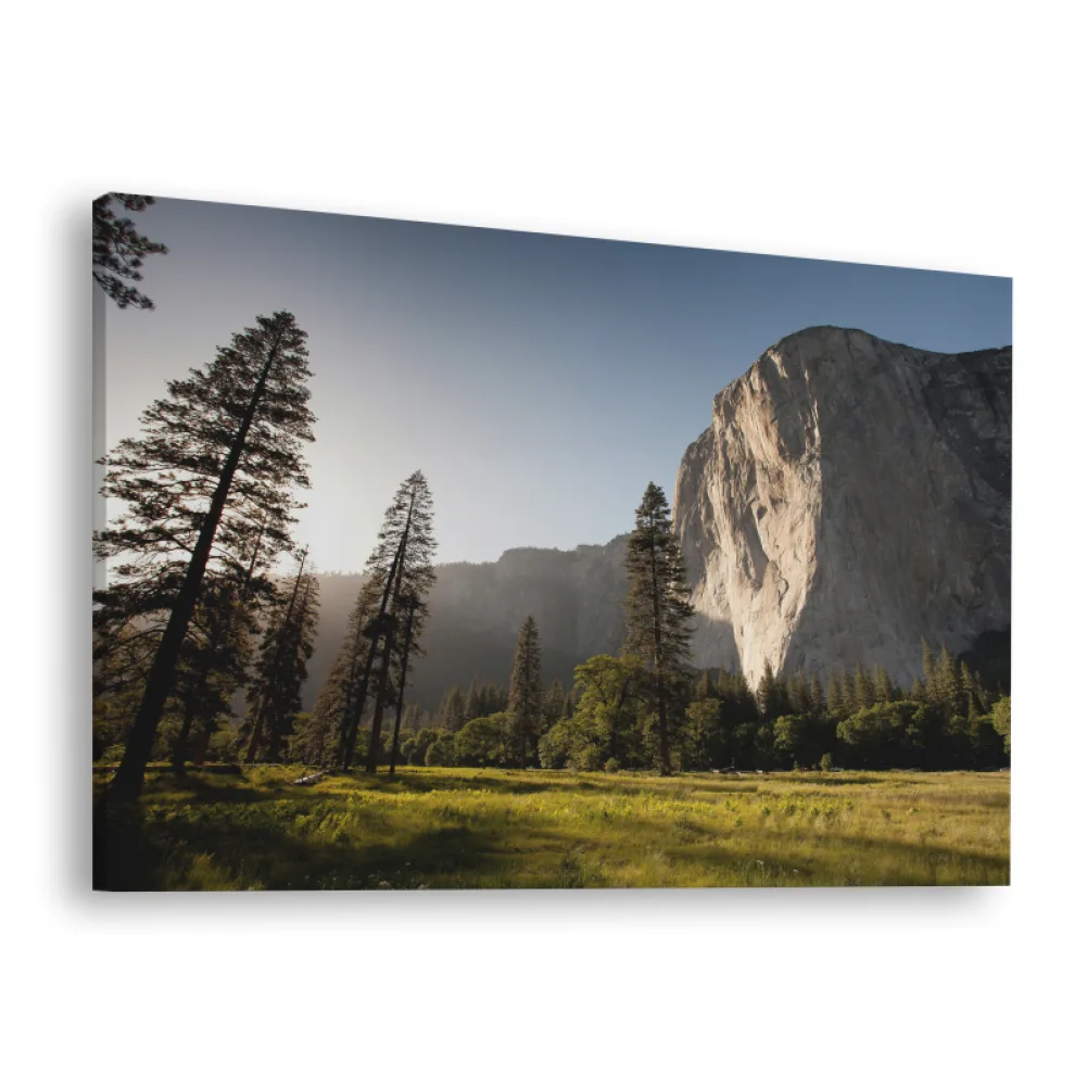 Tablou canvas orizontal Forest