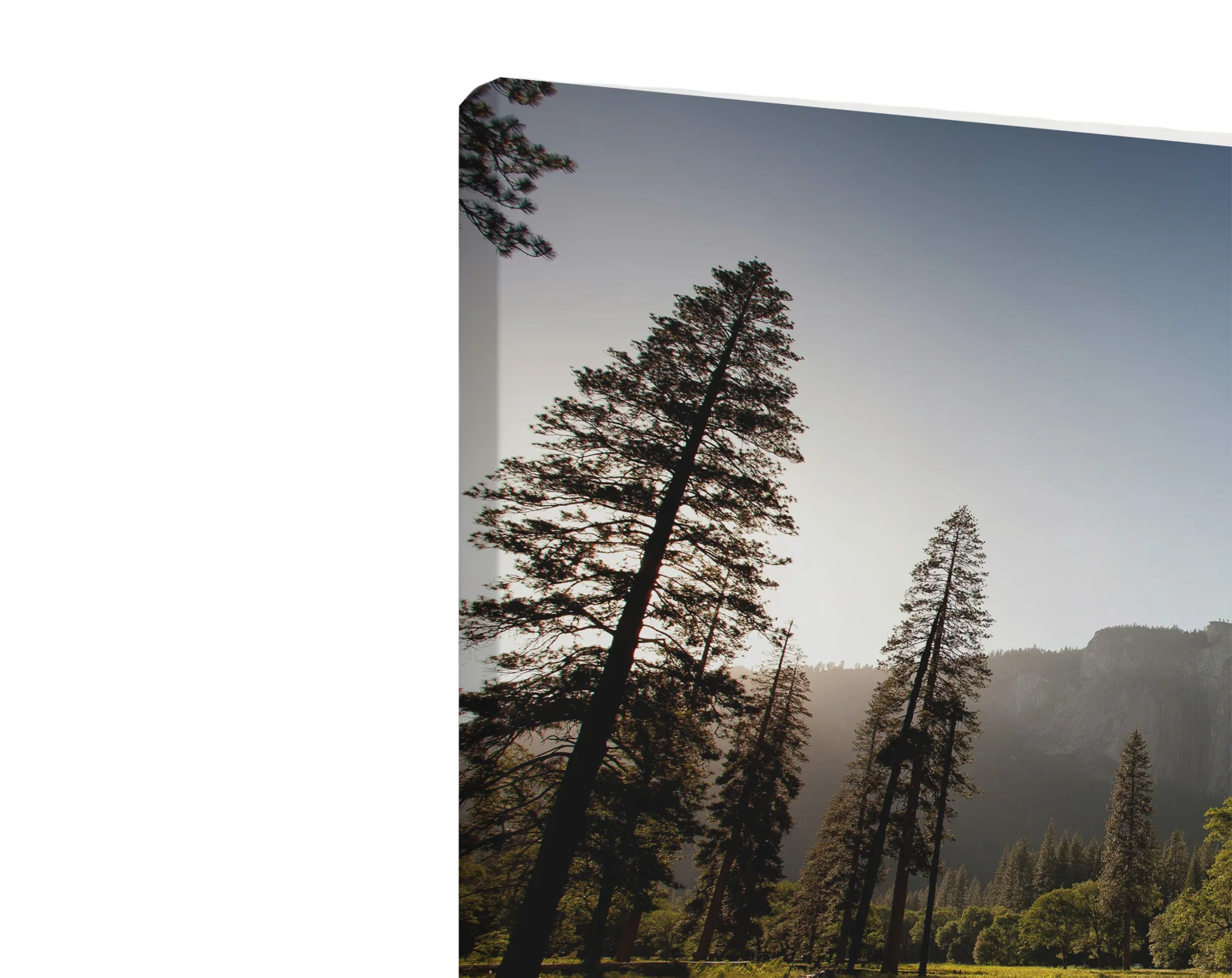 Tablou canvas orizontal Forest