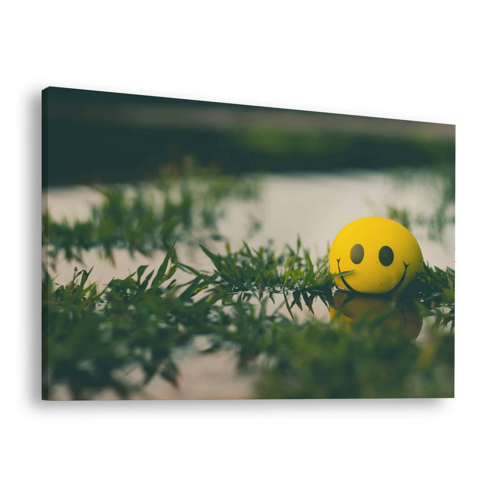 Tablou canvas orizontal Happy