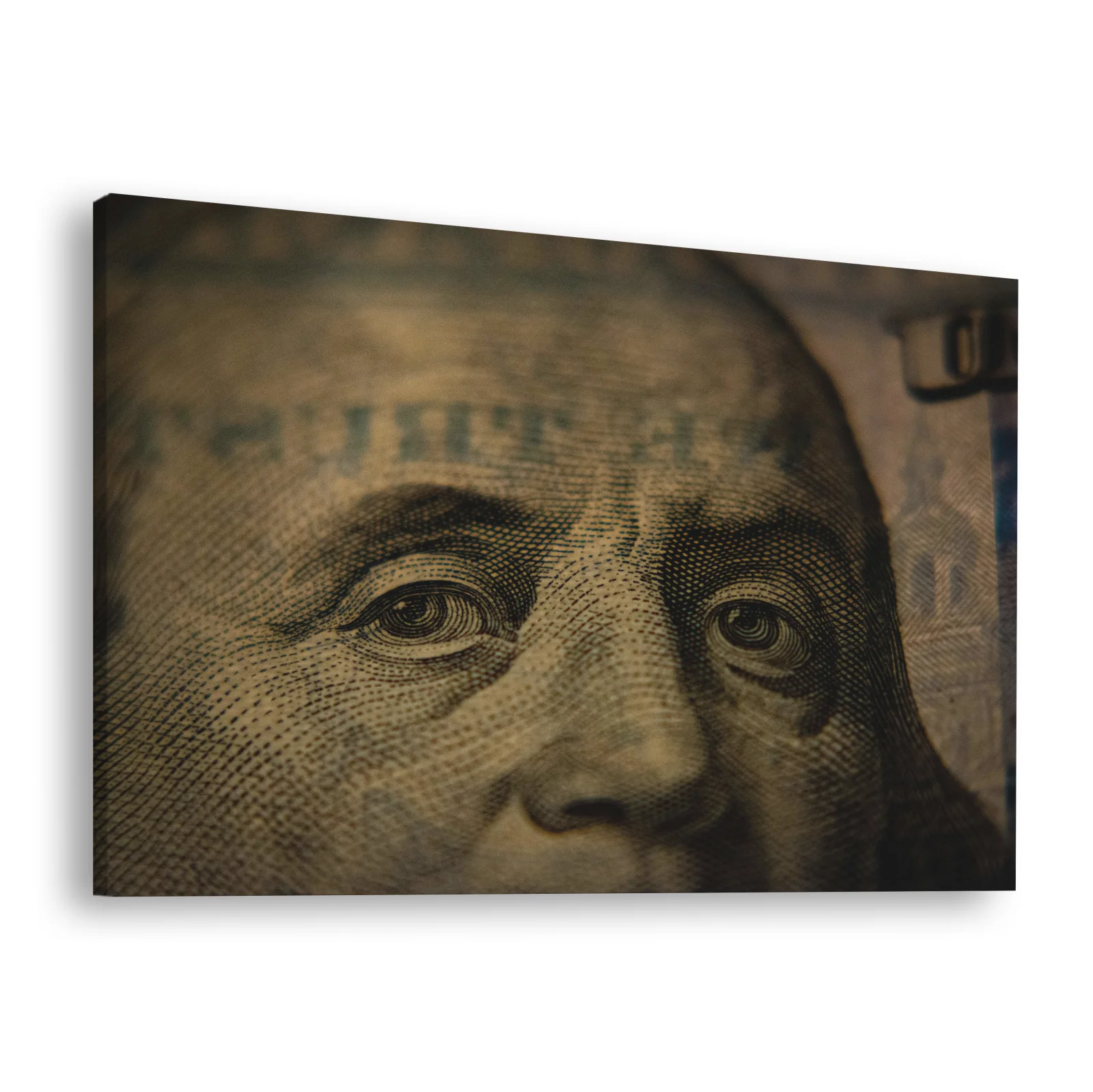 Tablou canvas orizontal Money