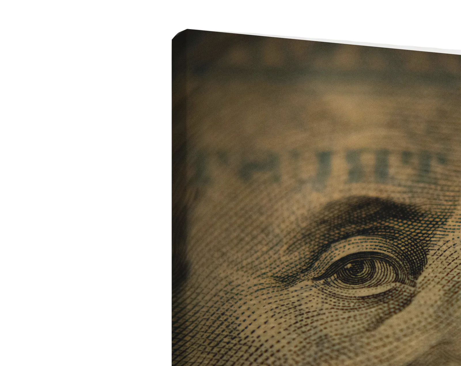 Tablou canvas orizontal Money