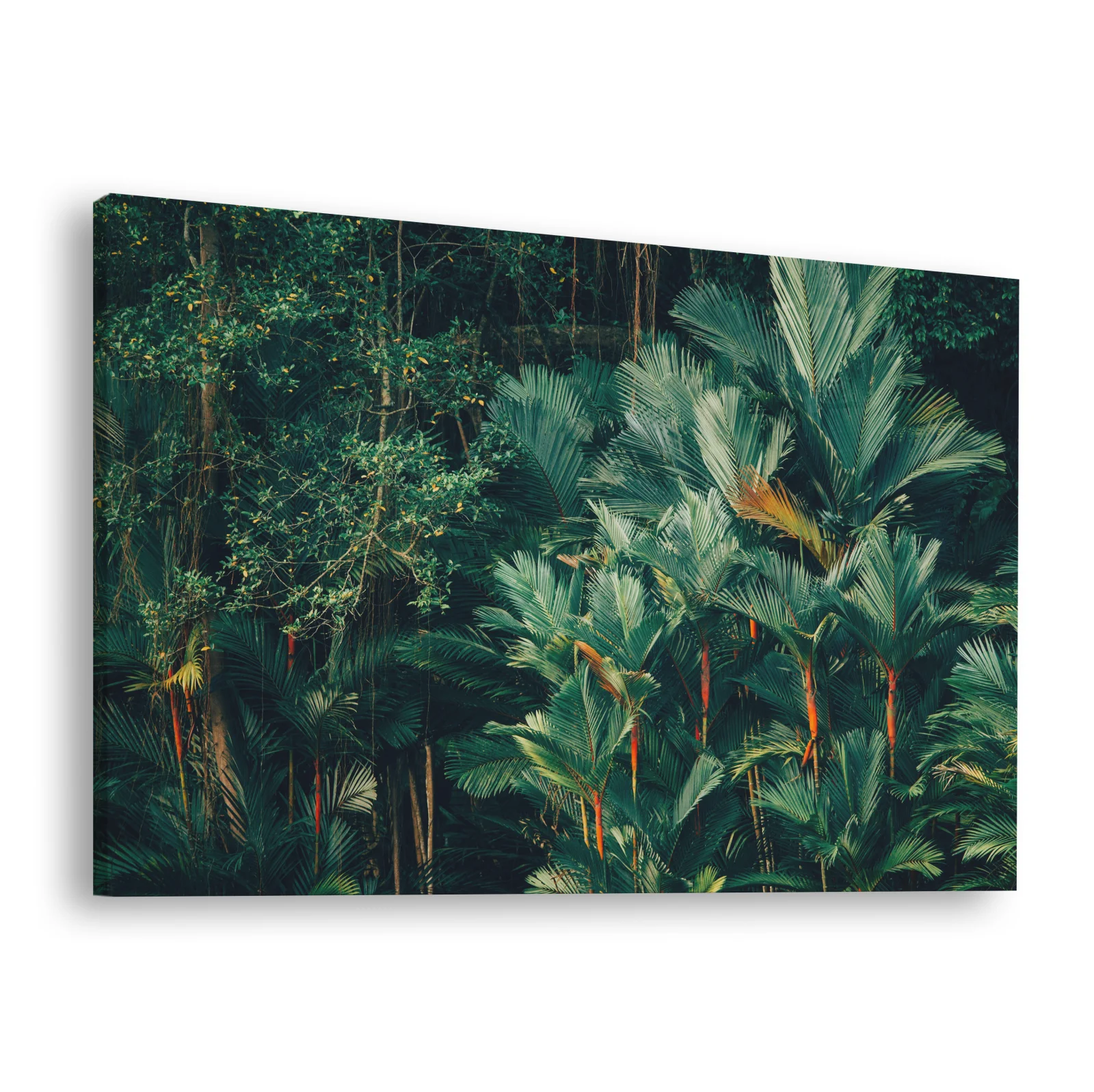 Tablou canvas orizontal Jungle