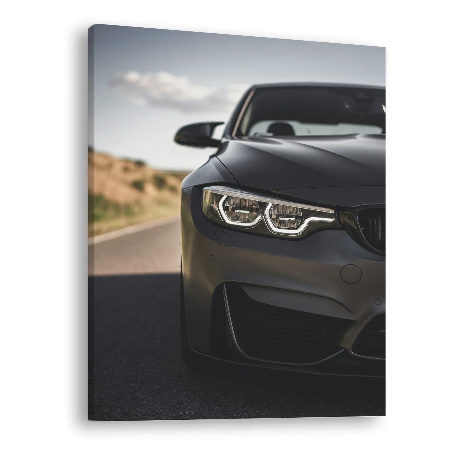 Tablou canvas vertical Angel Eyes
