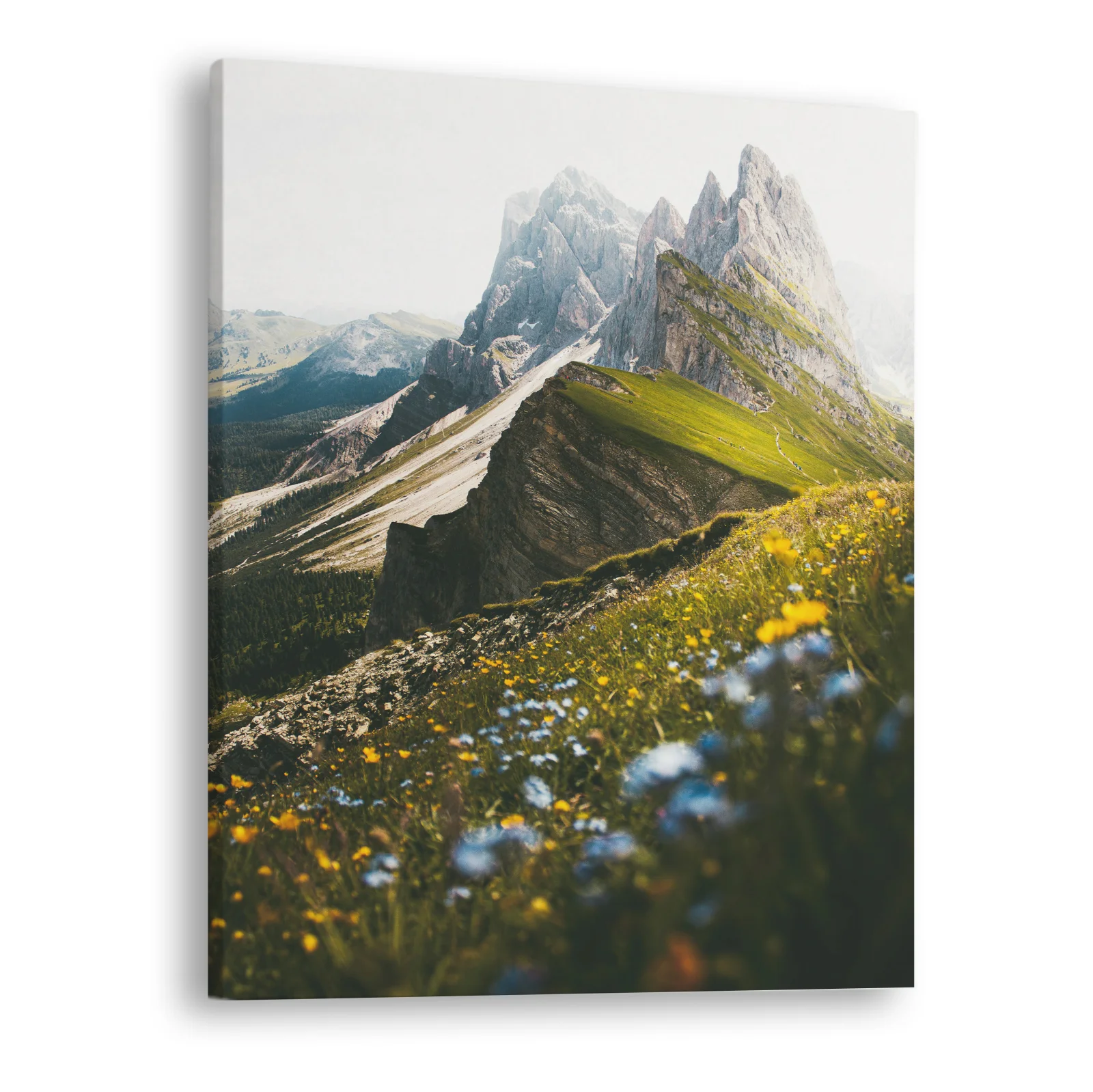 Tablou canvas vertical Cliff