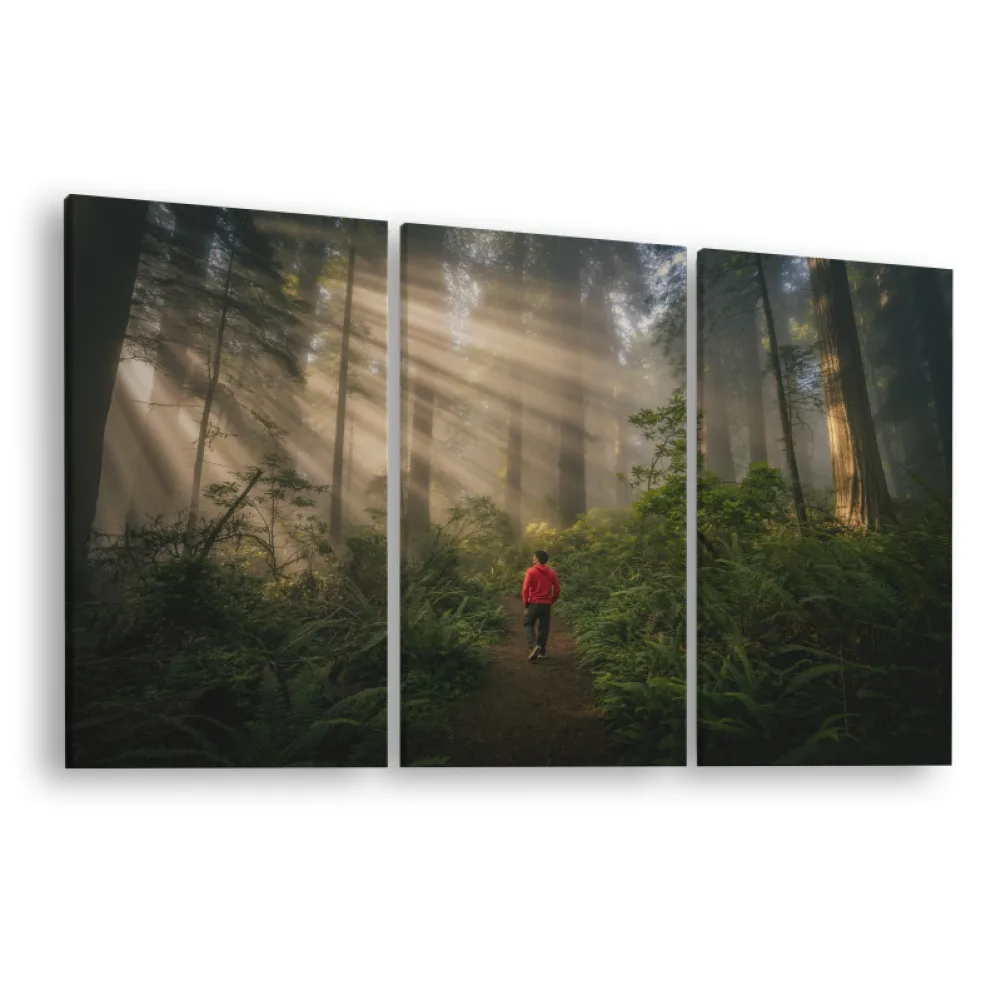Tablou canvas 3 piese Forest