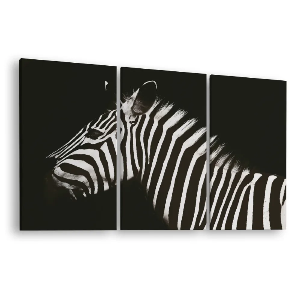 Tablou canvas 3 piese Zebra