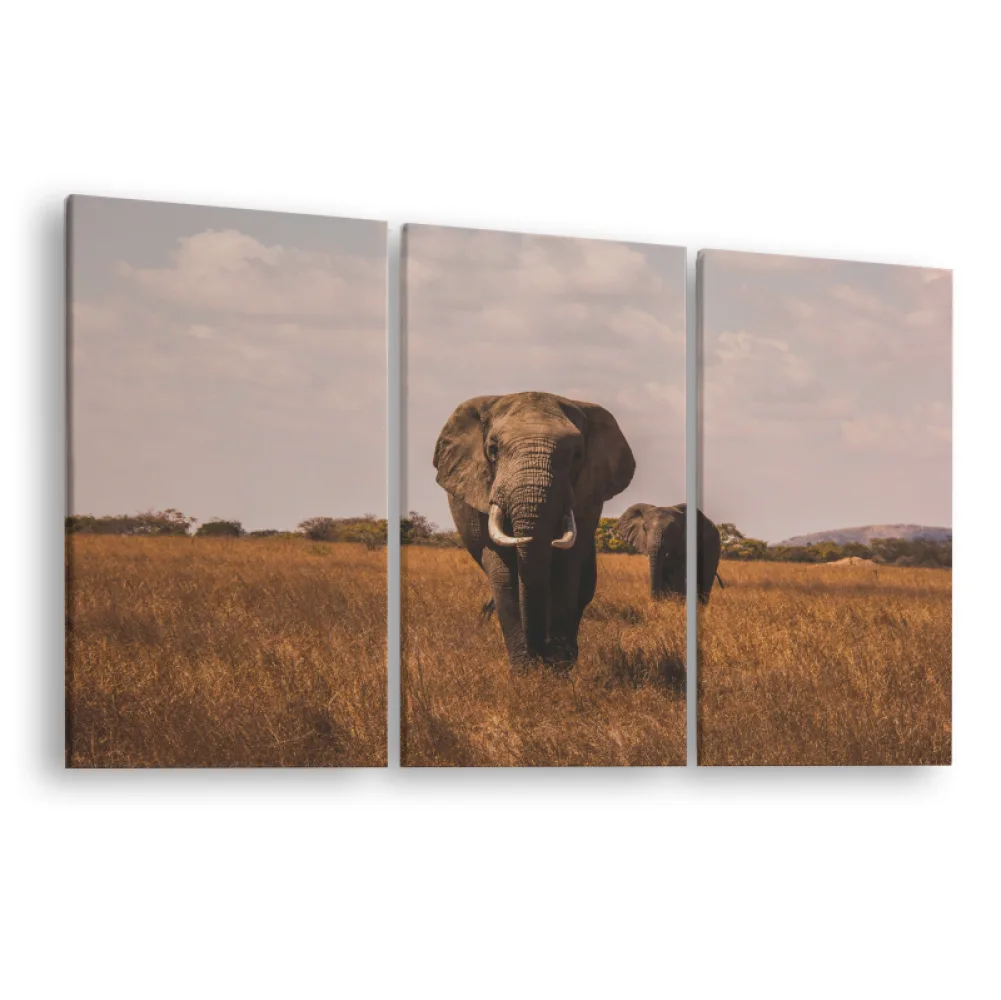 Tablou canvas 3 piese Safari