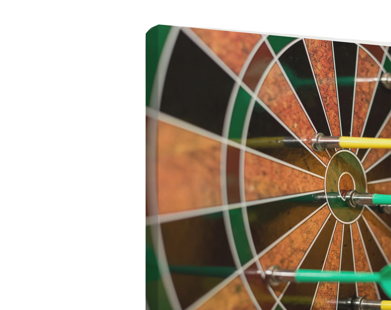 Tablou canvas orizontal Darts