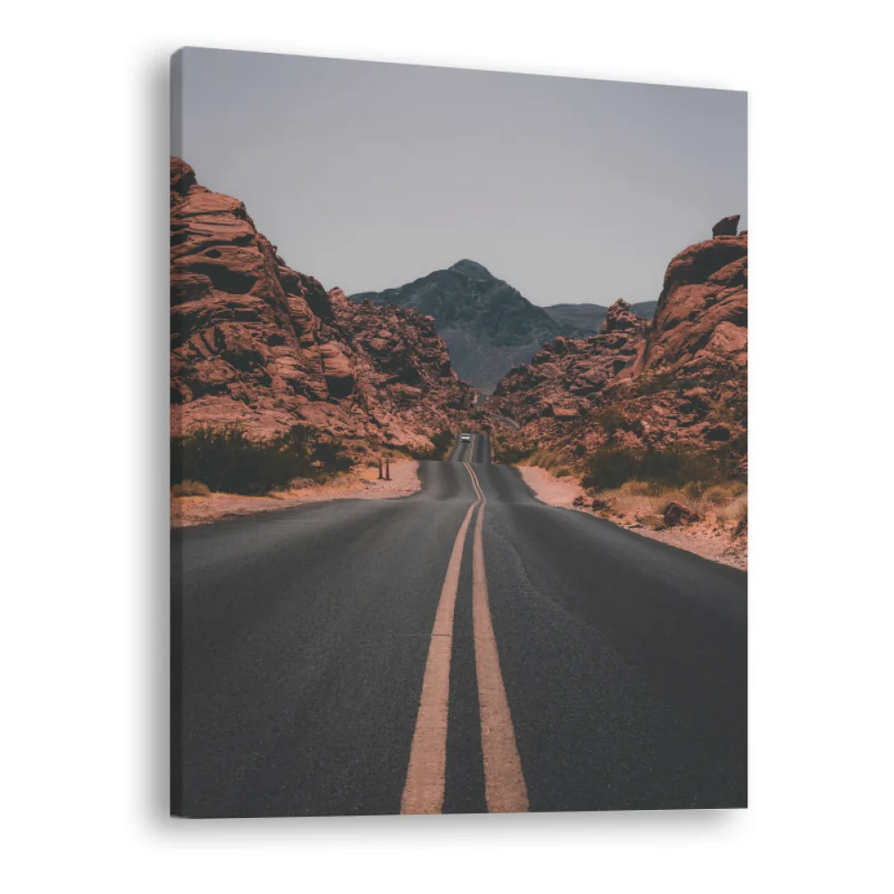 Tablou canvas vertical Desert Road