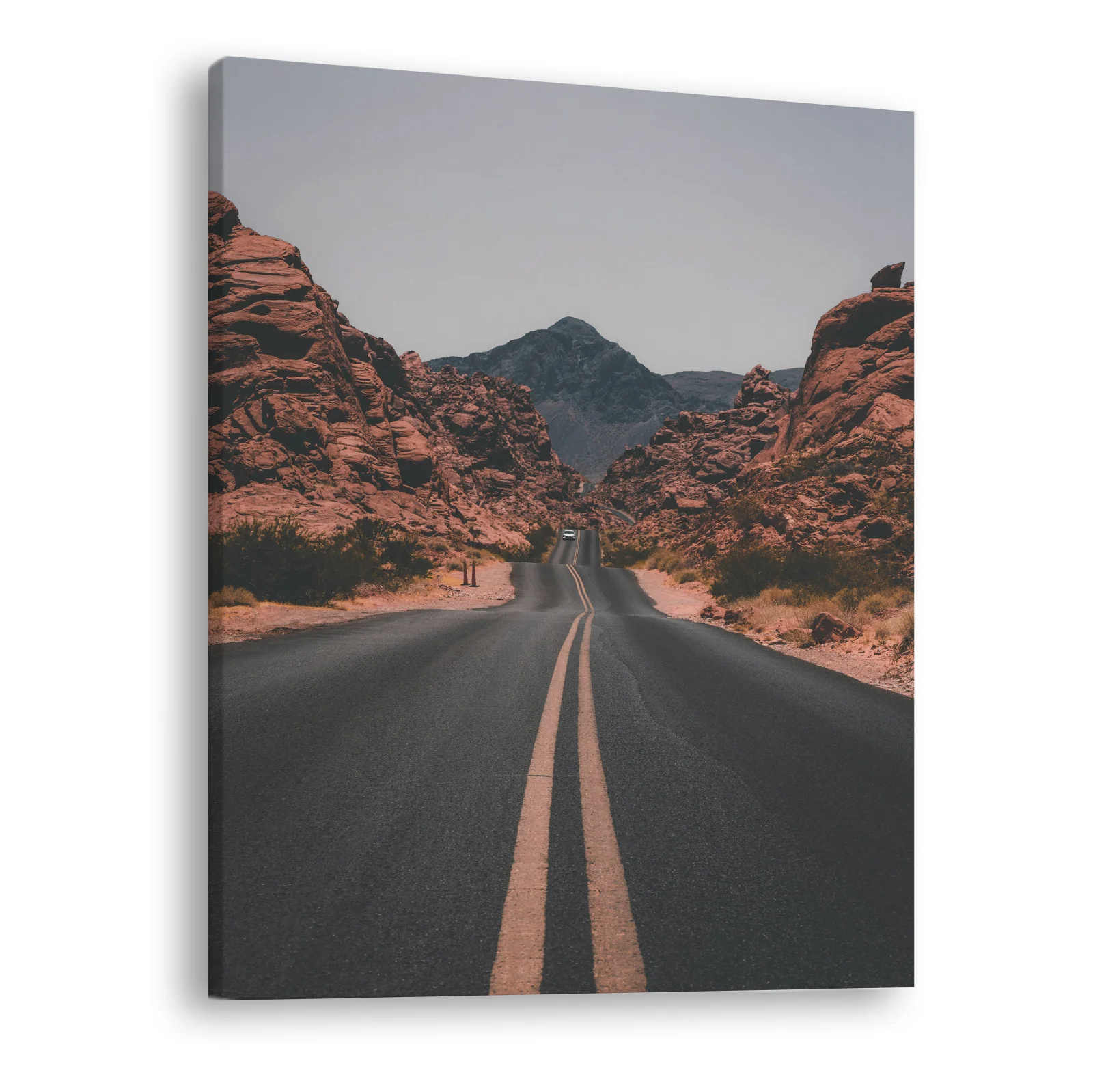 Tablou canvas vertical Desert Road