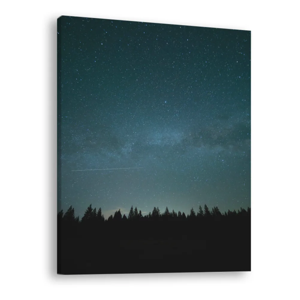 Tablou canvas vertical Night Sky