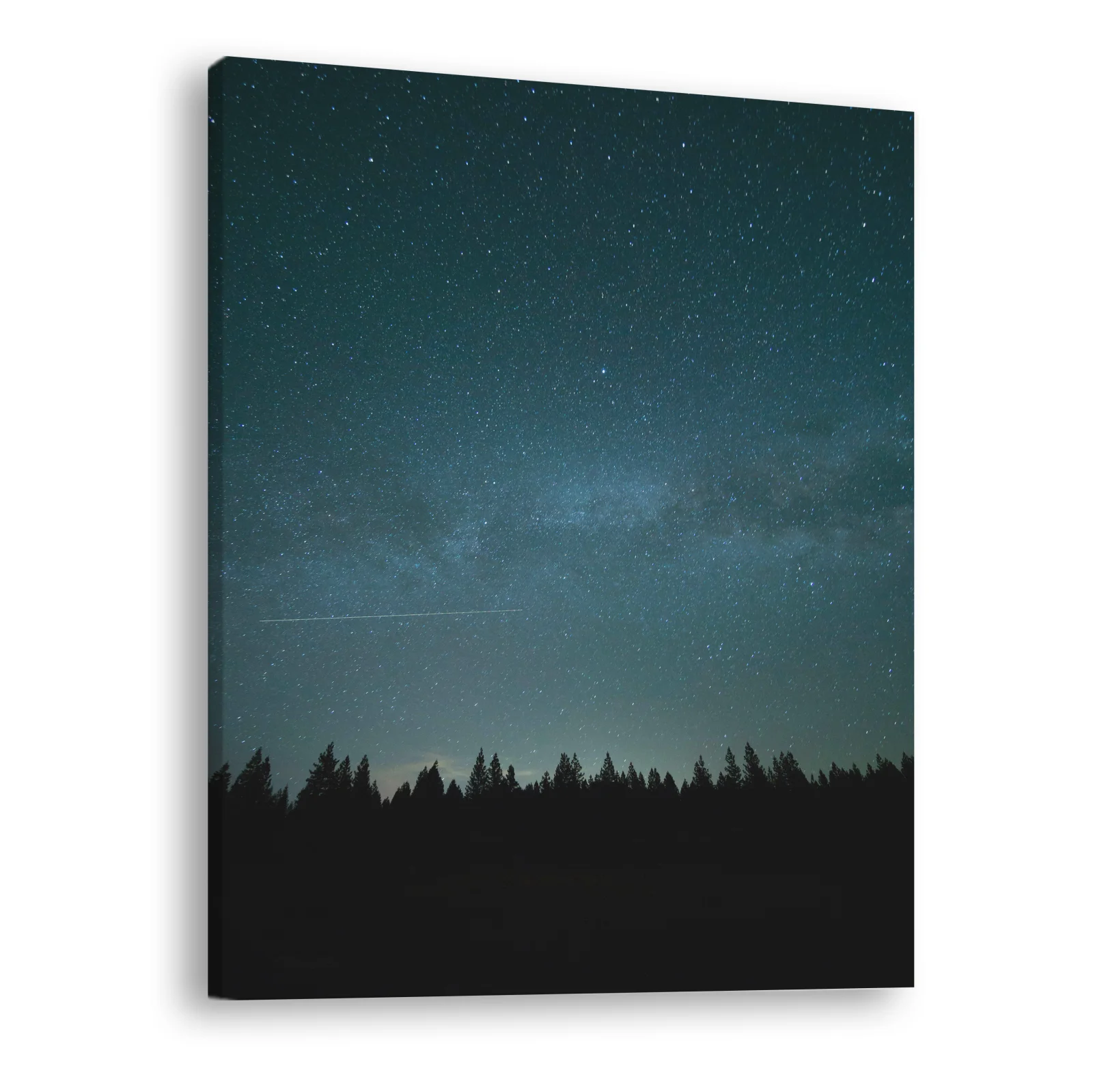 Tablou canvas vertical Night Sky