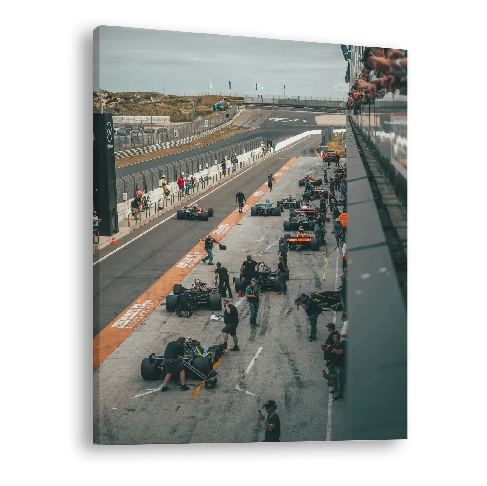 Tablou canvas vertical F1