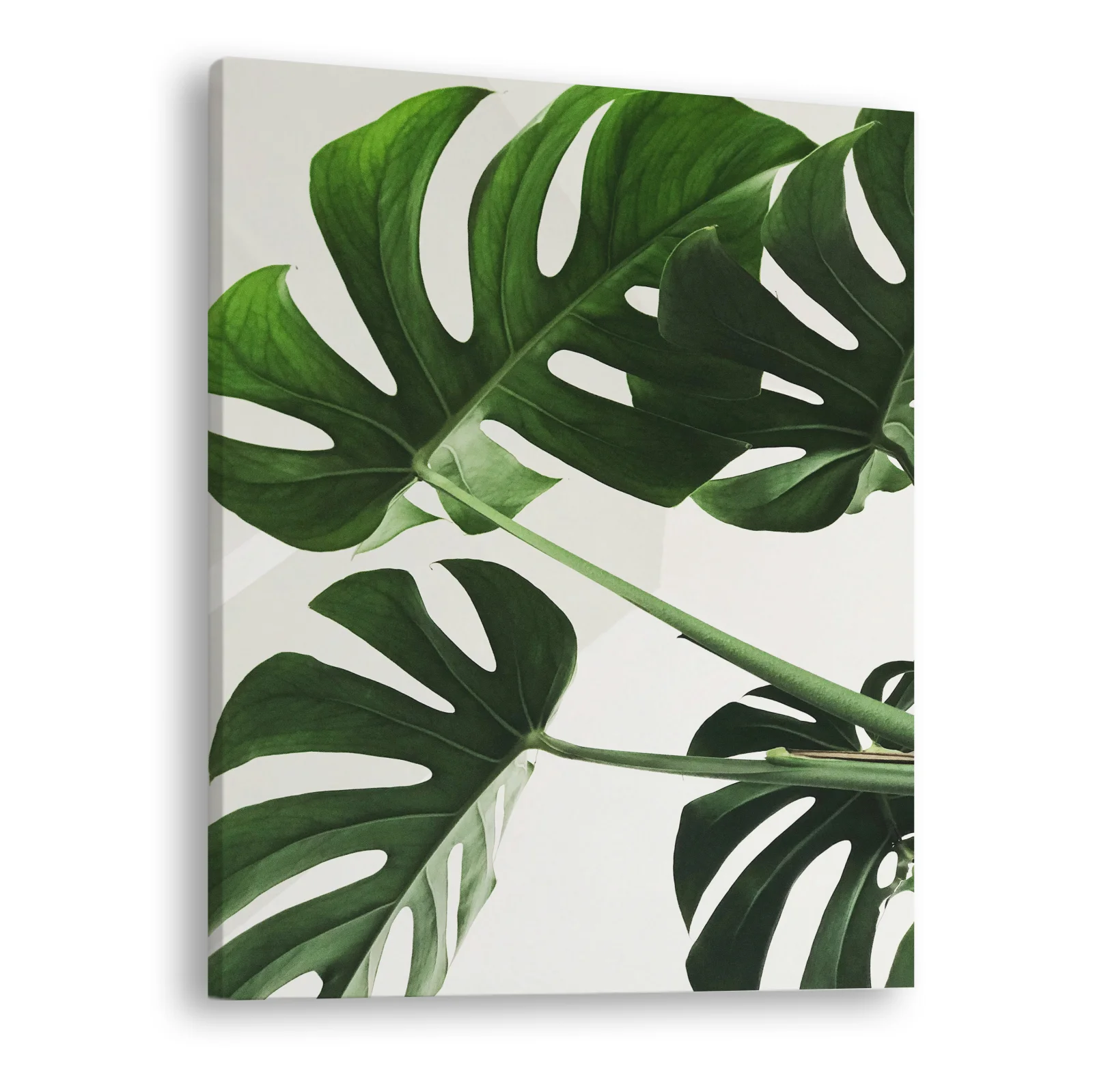 Tablou canvas vertical Leafs