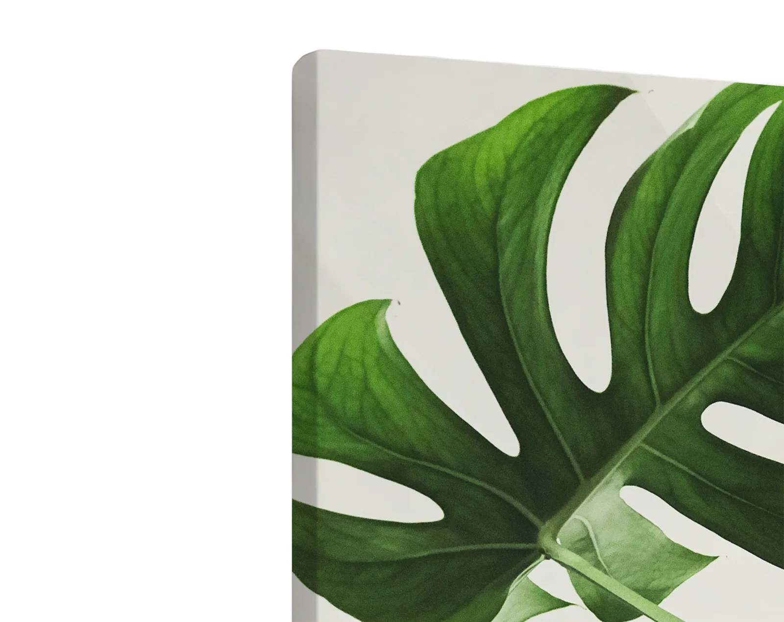 Tablou canvas vertical Leafs