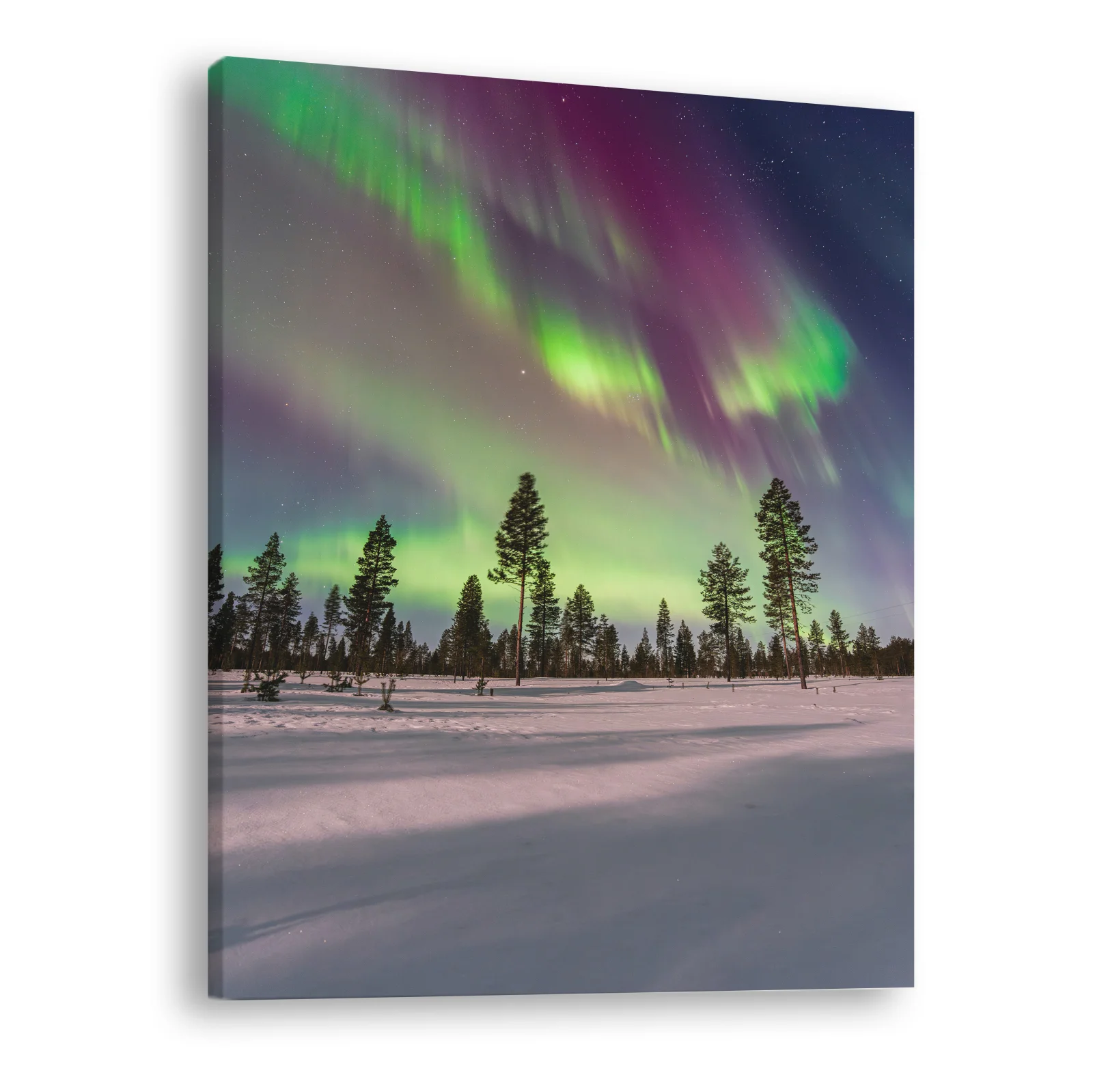 Tablou canvas vertical Northern Lights