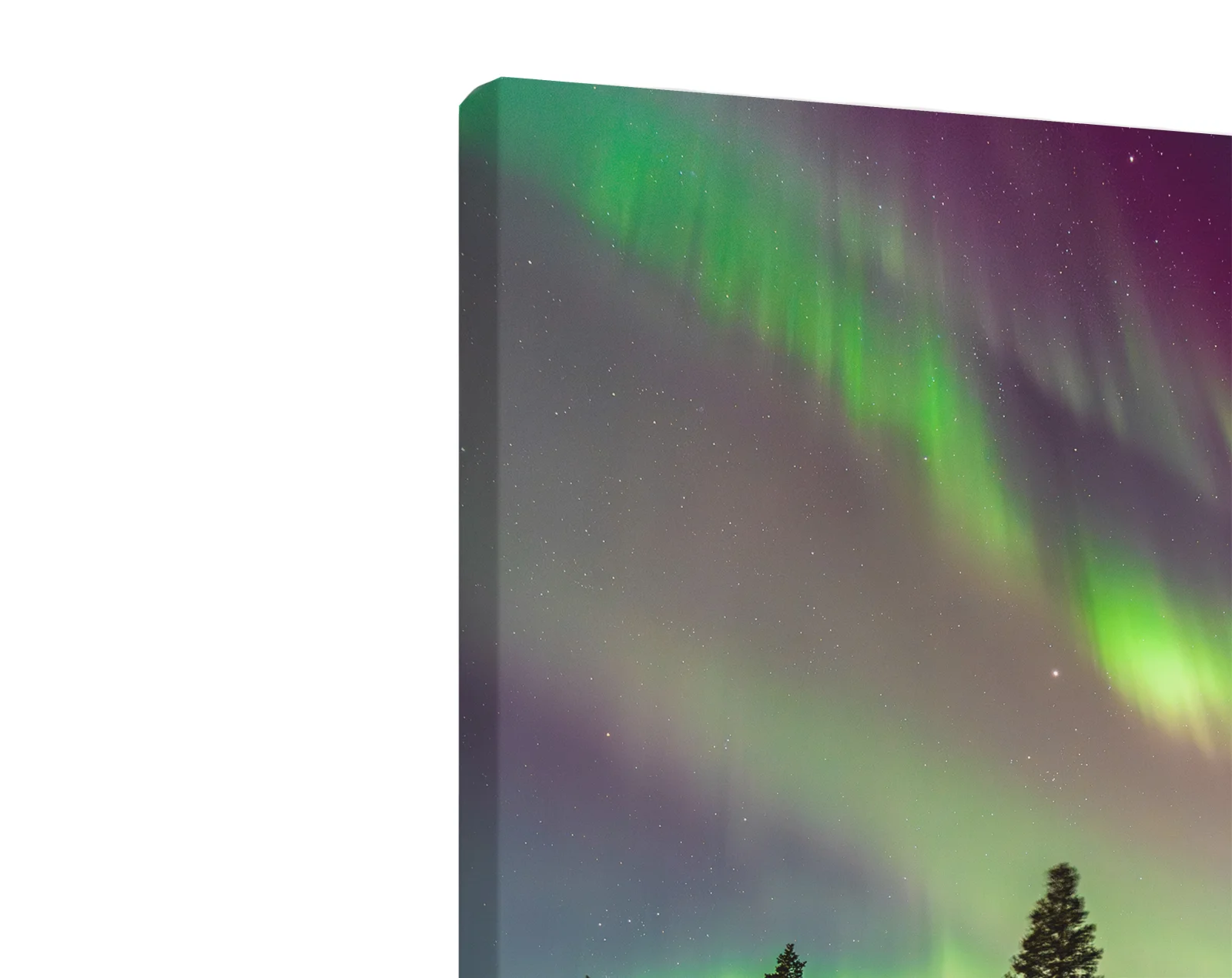 Tablou canvas vertical Northern Lights
