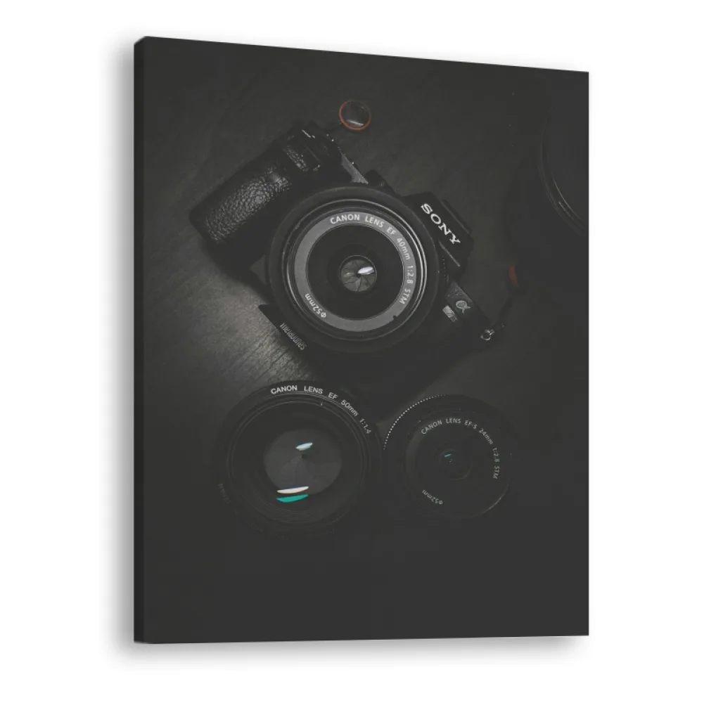 Tablou canvas vertical Photo Camera