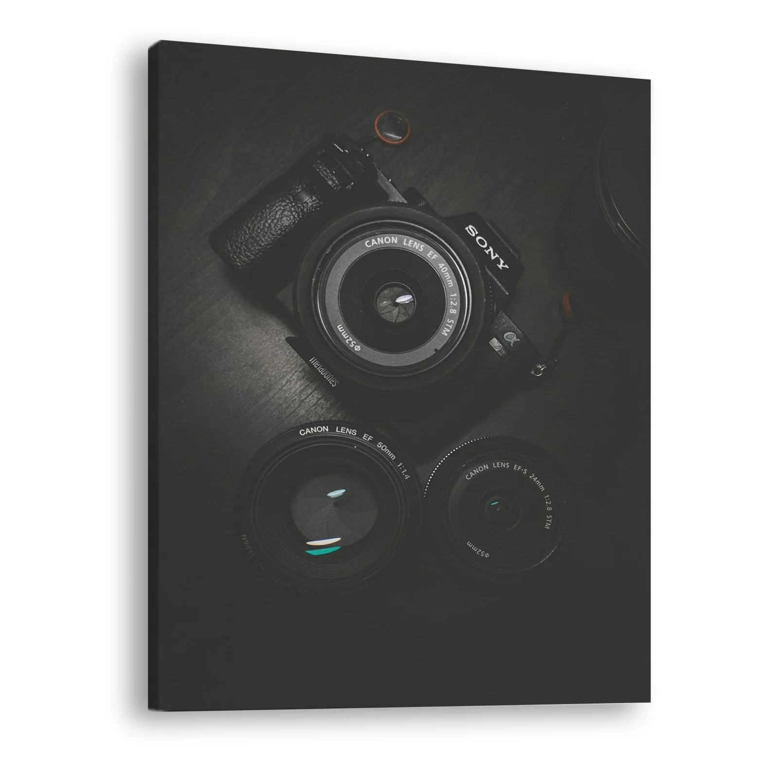 Tablou canvas vertical Photo Camera
