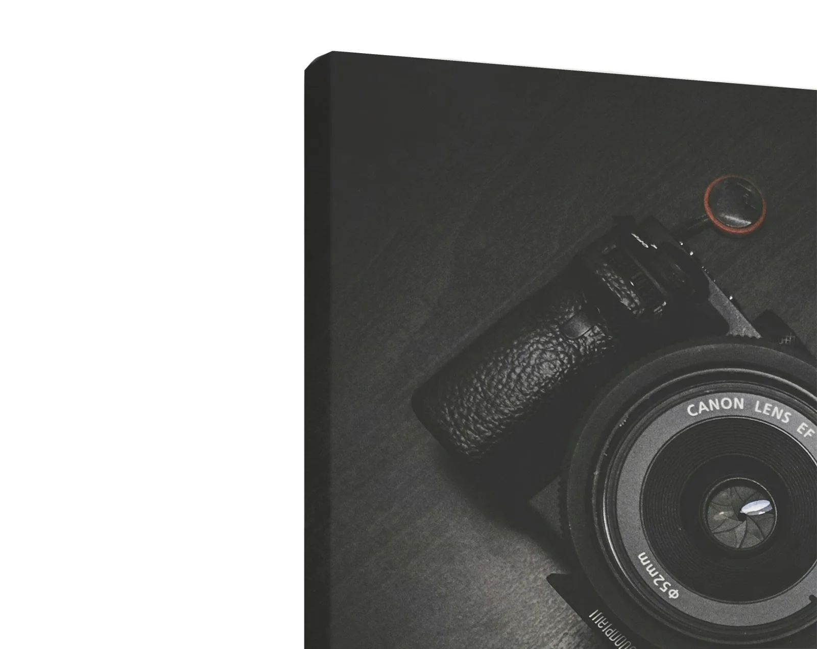 Tablou canvas vertical Photo Camera