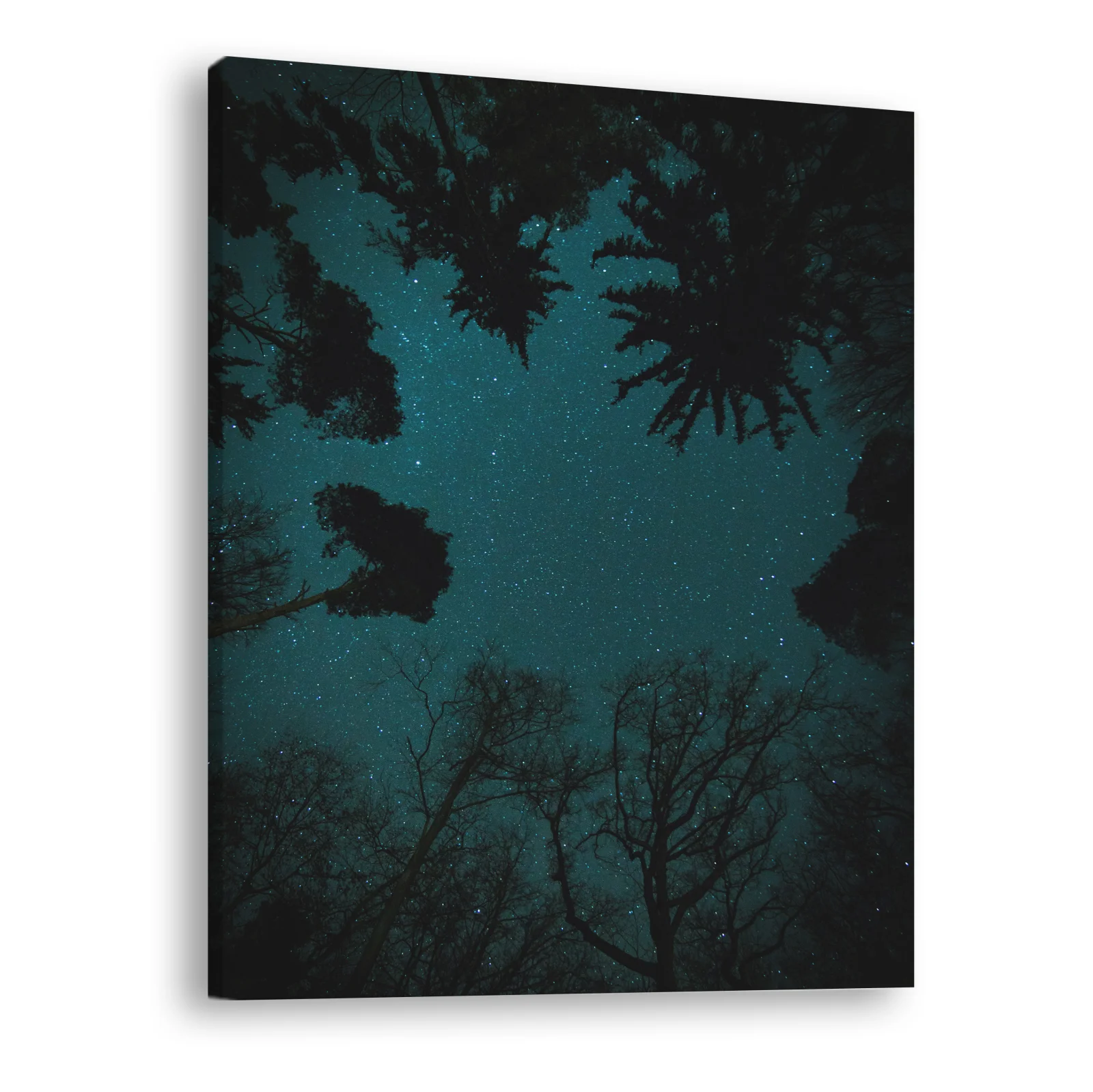 Tablou canvas vertical Stars