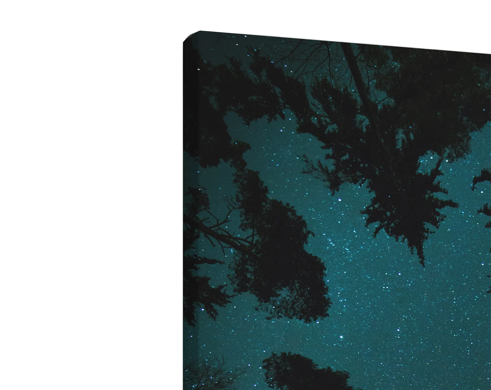 Tablou canvas vertical Stars
