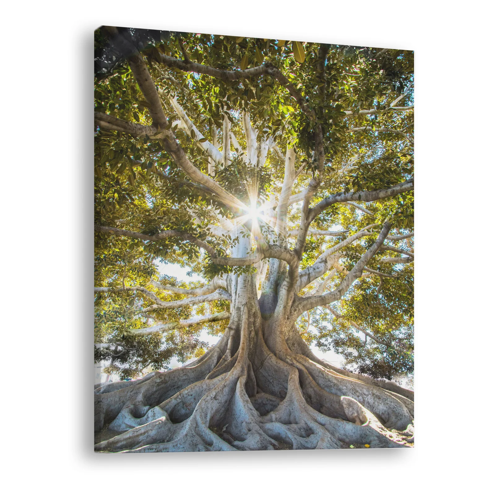 Tablou canvas vertical Tree