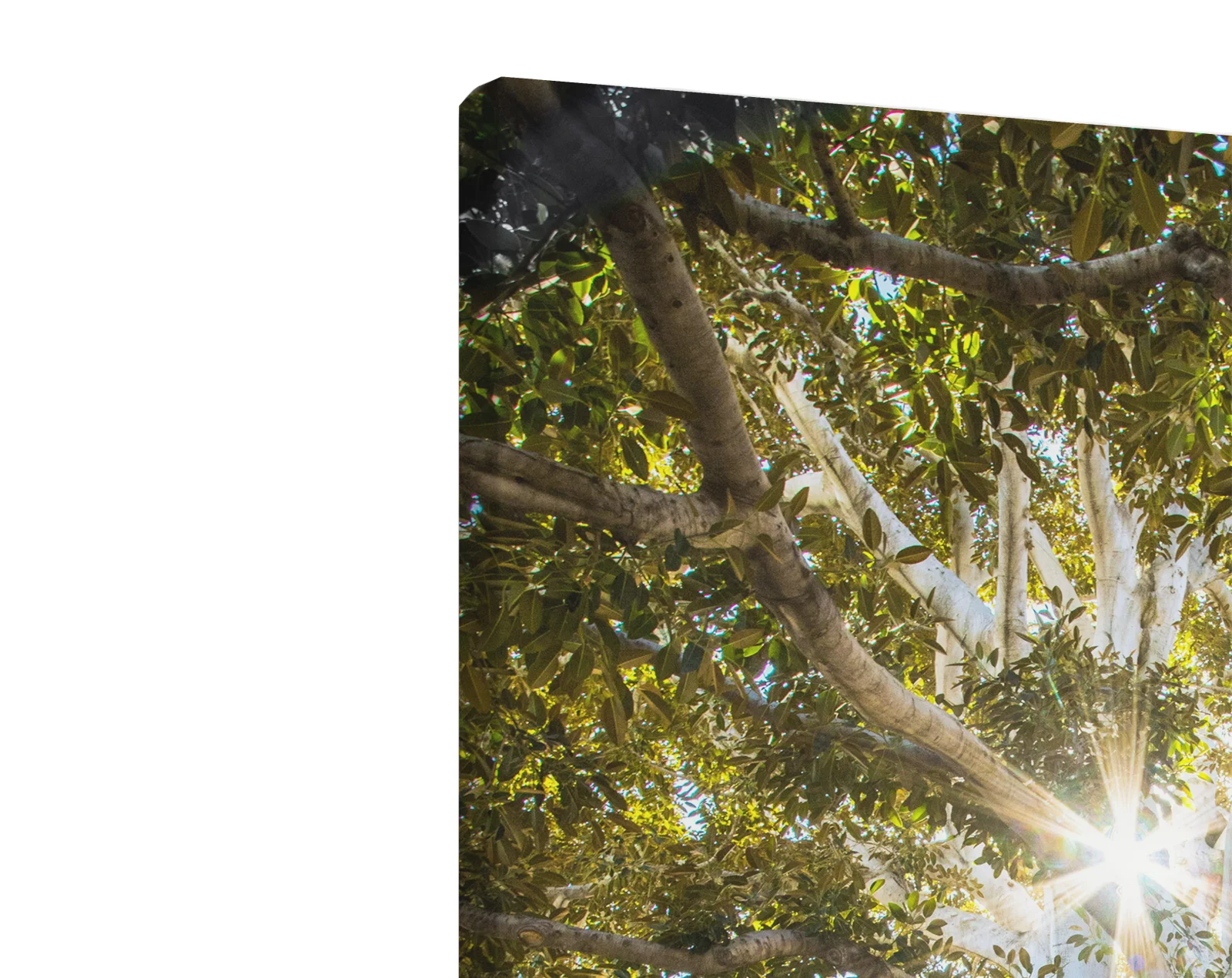 Tablou canvas vertical Tree