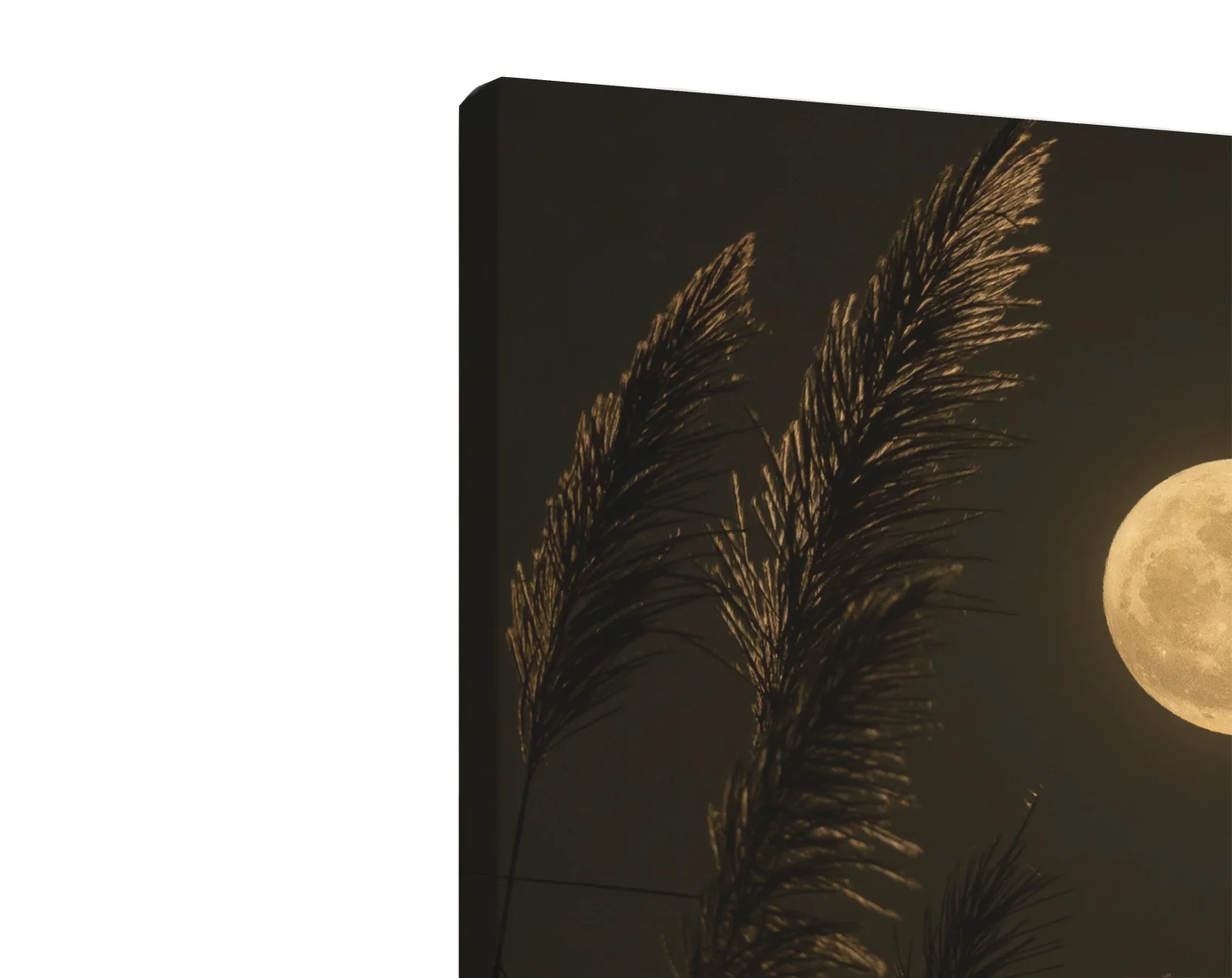 Tablou canvas vertical Wild Moon